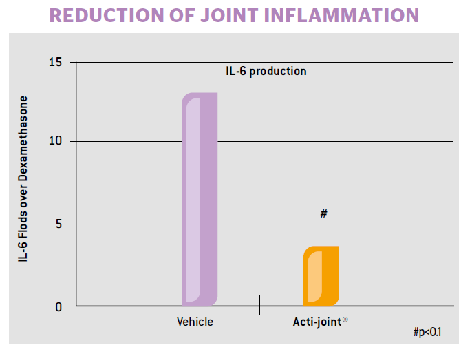 Acti-Joint®